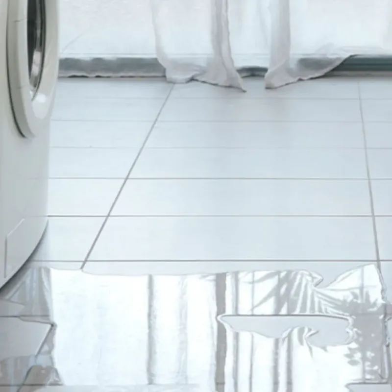 Appliance Leak Cleanup in Kingwood, WV