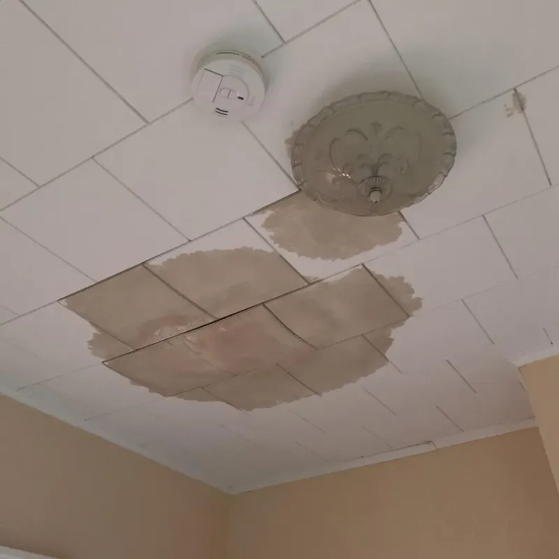 Ceiling Water Damage Repair in Kingwood, WV