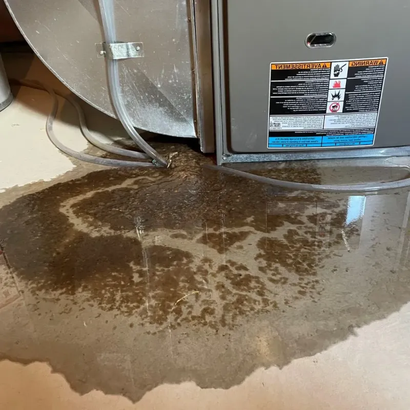 Pipe Burst and Leak Restoration in Kingwood, WV