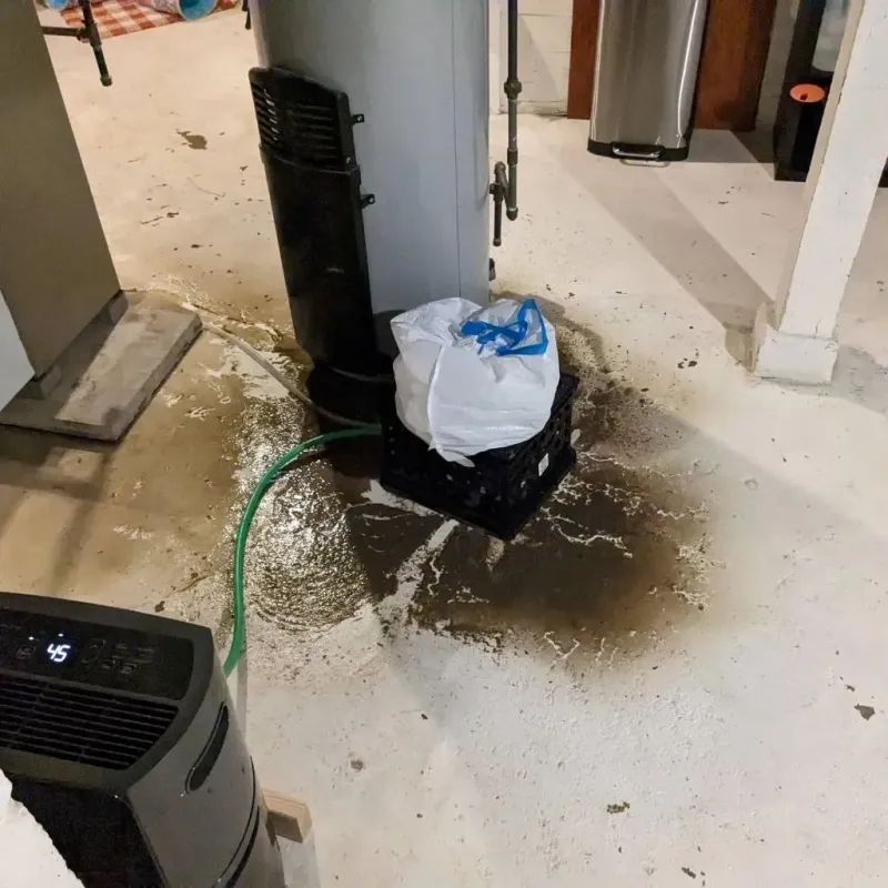 Sewage Backup Cleanup Service in Kingwood, WV